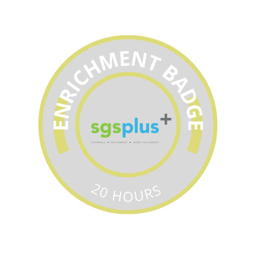 enrichment 20 hours badge