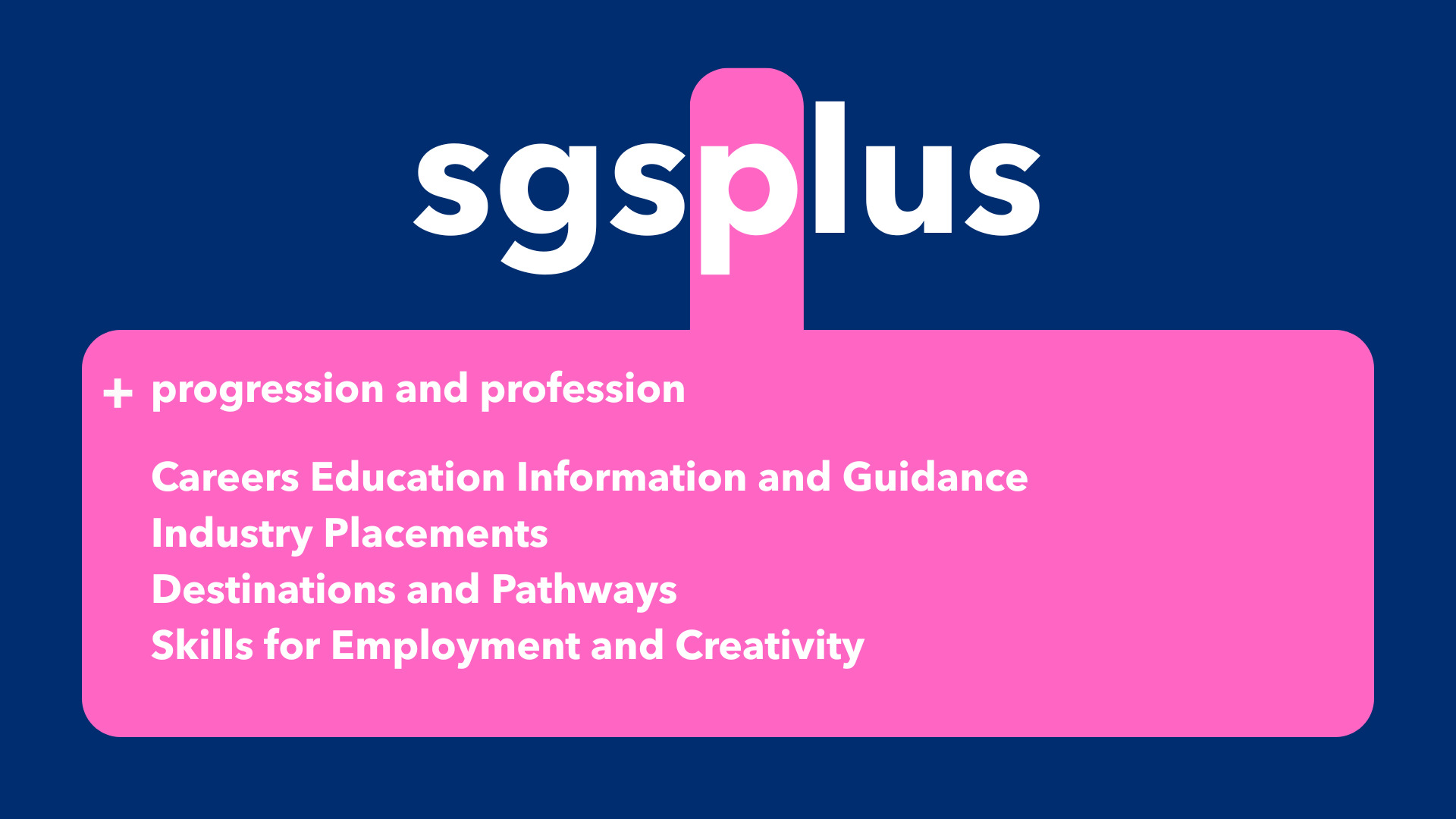 SGSPLUS+ framework P
