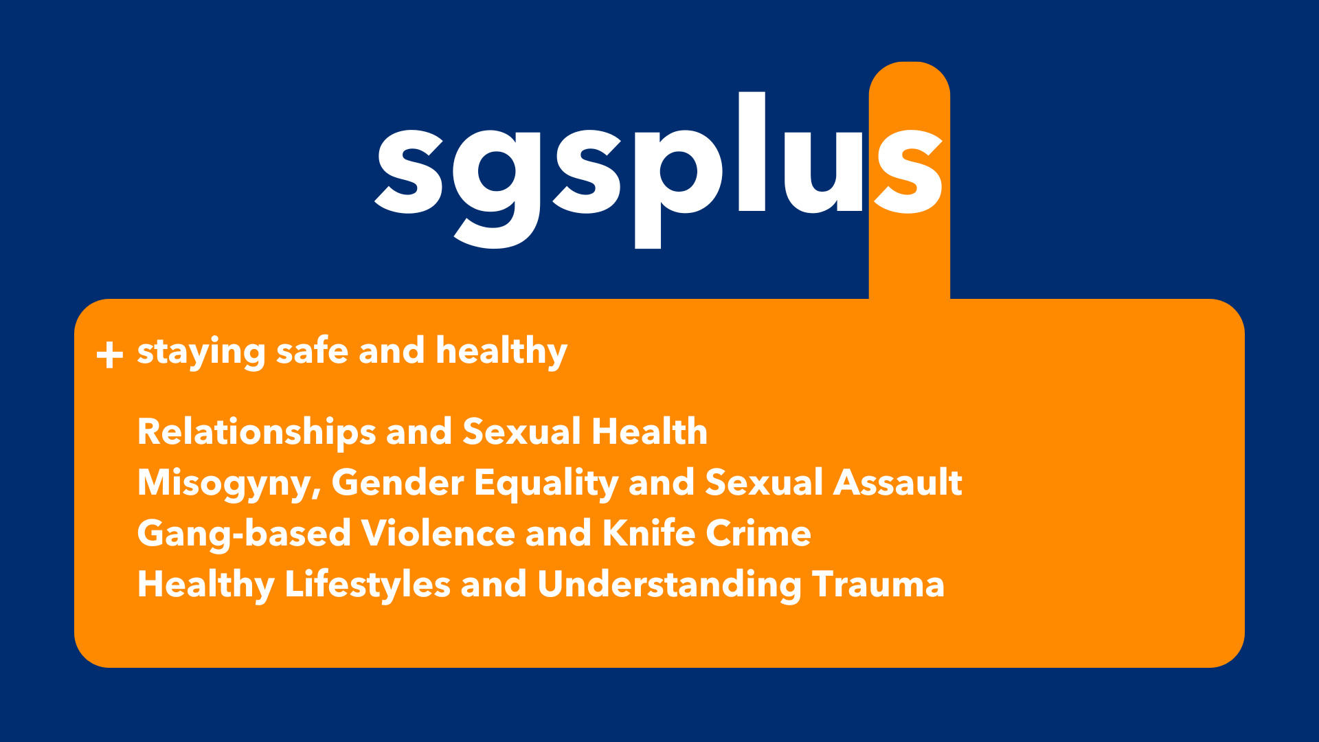 SGSPLUS+ framework S